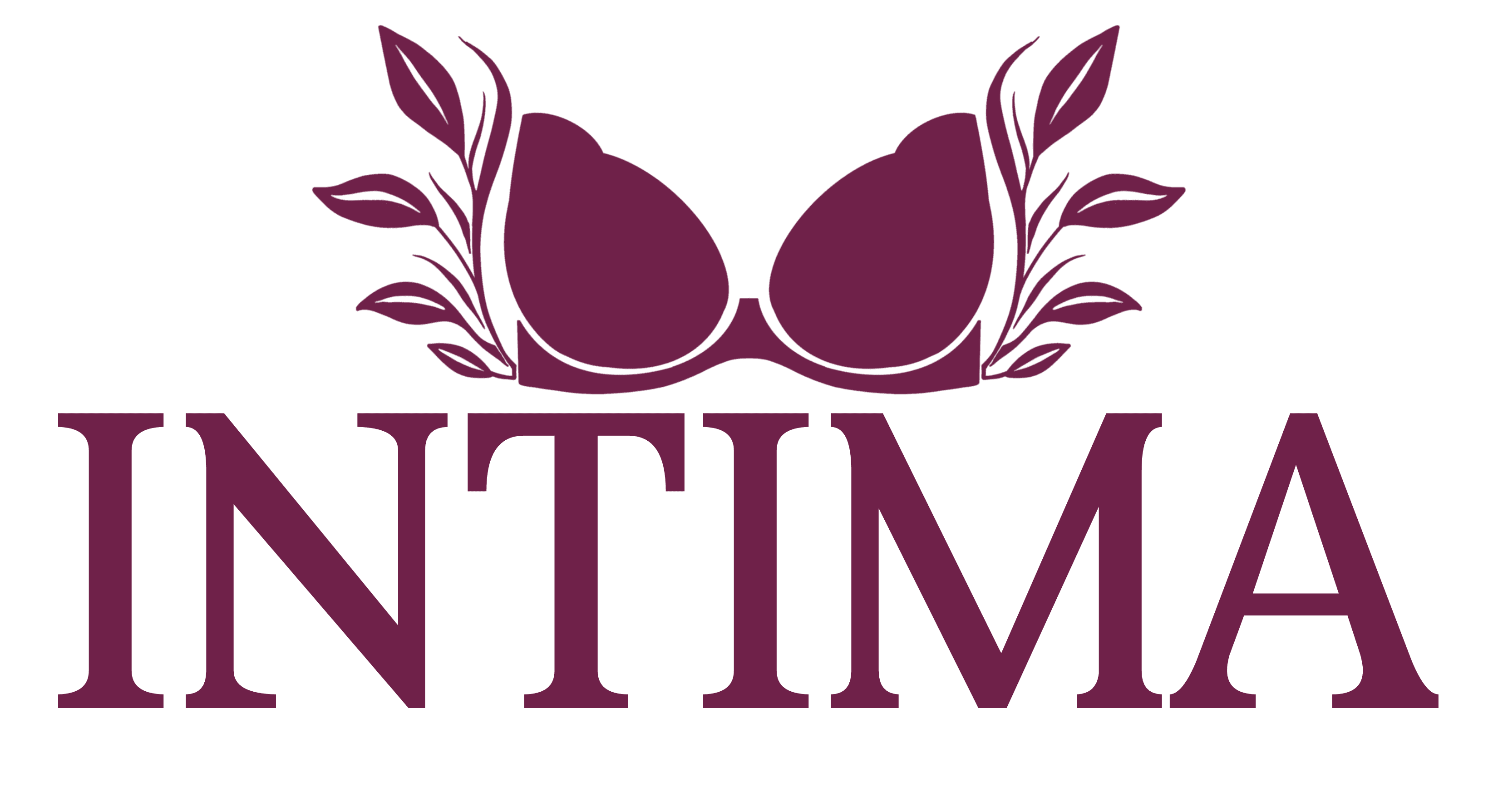 logo sklepu z bielizną Intima